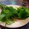 หยิบฟรี มีทั้ง ใบมะกอก และใบมะม่วงหิมพานต์