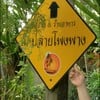 ณ ปลายโพงพาง