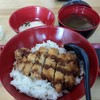 ข้าวหมูทอดญี่ปุ่นกับเซตน้ำชา ไข่ออนเซ็นและกิมจิปลาส้ม