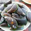 หอย 