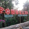 Pongyang Zipline & Jungle Coaster  
