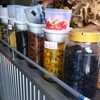 มีของเชื่อมหลายชนิดให้เลือกใส่ตามใจได้เลย