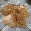 ข้าวไก่กระเทียม