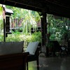 Tree Park Coffee แพร่