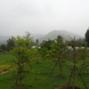 วิวด้านหลัง