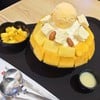 mango cheese bingsu