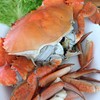 ปูเป็น sea food