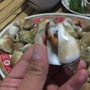 หอยชักตีนที่ดีลวกแล้วตีนต้องยื่นนิดๆแบบนี้