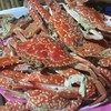 ปูม้านึ่ง