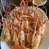 กุ้งเผา