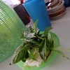 ผักสดและน้ำใบเตยหอมๆ บริการฟรี