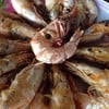 สดพอได้