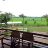 วิวหลังร้าน