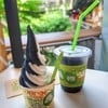 +Coco Ice Slushy