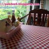 บรรยากาศสบาย ๆ ไม่อึดอัด