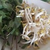 หยิบได้
