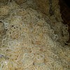 ขนมทอดกรอบ