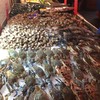 กุ้งหอยปูปลามาหมด