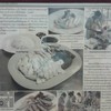 จั่วหัว "ข้าวมันไก่ ขาย 3 ชั่วโมง หมด"