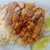 ข้าวมันไก่ผสม ฿50