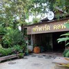 Tree Park Coffee แพร่