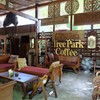 Tree Park Coffee แพร่