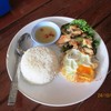 กะเพราไก่ไข่ดาวราดข้าว 60 บาท