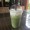 Iced Matcha? Latte