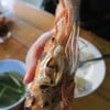 เท่าฝามือ 