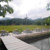 Anna Farm & Eatery