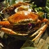 รูปร้าน ป.กระทะซิ่ง หมูกระทะ&ทะเลเผา สุรินทร์