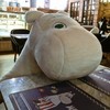 Moominน่ารัก