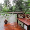 ท่าน้ำริมสระบัวหลังฝนตก สวยงามสุดๆ ><