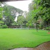 Greenery  ^^