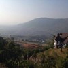 ด้านหลัง