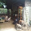 Tree Park Coffee แพร่