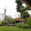 Azalea Village