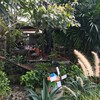 ส้มตำคาเฟ่ by แซ่บอินเตอร์ พัทยา