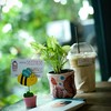 กาแฟสด จากเชียงใหม่รวมมาไว้ด้วยกัน  เช่น ดอยช้าง อินทนนท์กาแฟ บ้านแม่กำปอง