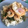 กะเพรากุ้งไข่ดาวราดข้าว