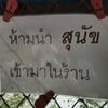 ห้ามหมา