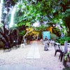 Grow Up Café