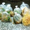 บะหมี่กรอบราดหน้า 2 ชุด + เส้นหมี่ผัดซีอิ๊ว 4 ห่อ