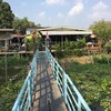 ต้องเดินข้ามสะพานนี้เข้าไป