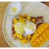 Premium Mango Crack Waffle 290B