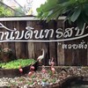 ราคาเริ่มต้น200
