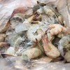 กุ้งดูดีสด 