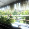 บรรยากาศร้าน