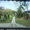 บรรยากาศร้าน