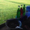 บรรยากาศทุ่งนาด้านข้าง